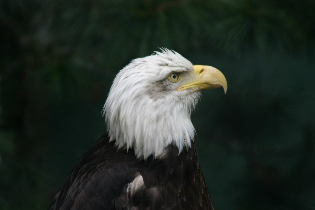Zoo Boise