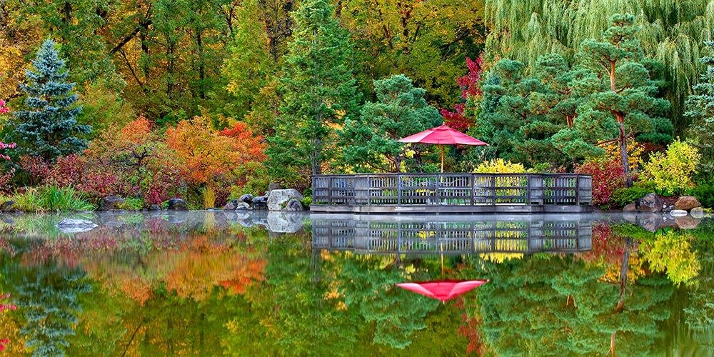 Anderson Japanese Gardens