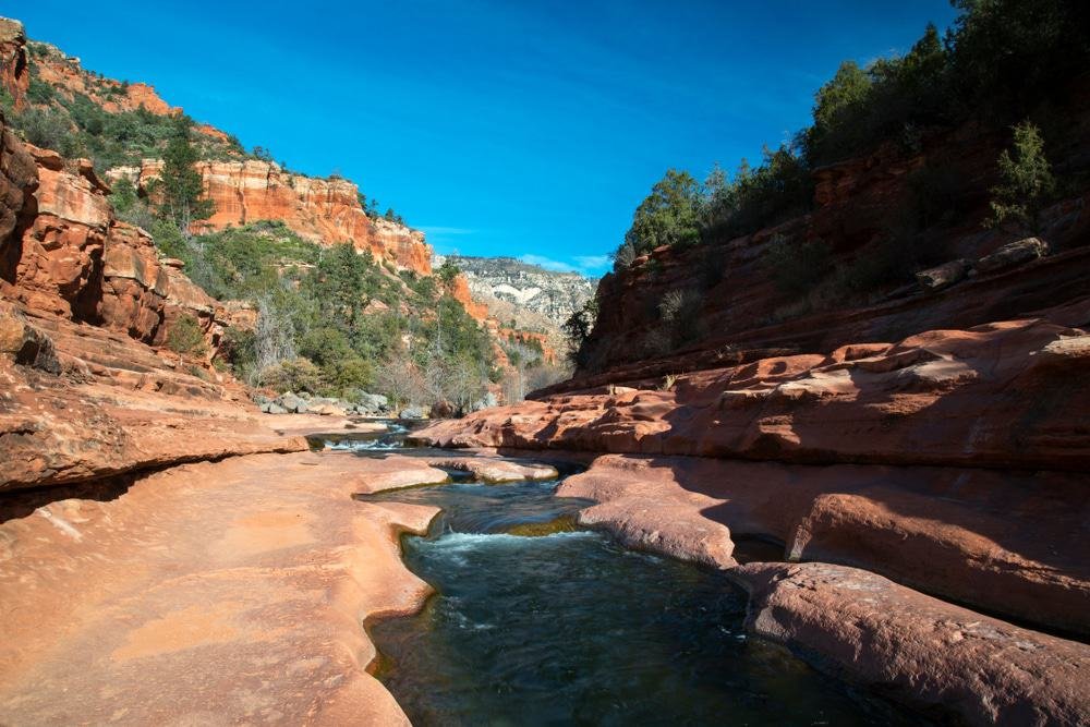Coconino National Forest