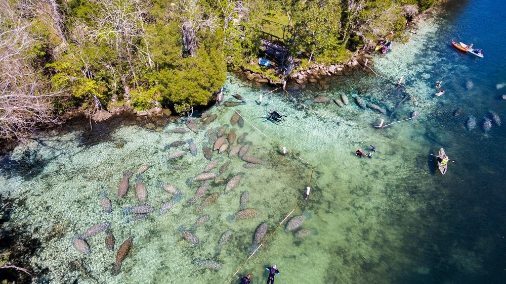 Crystal River, Florida