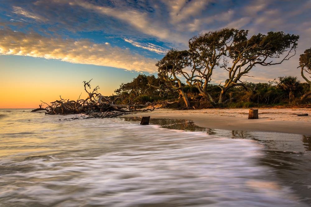 Driftwood Beach