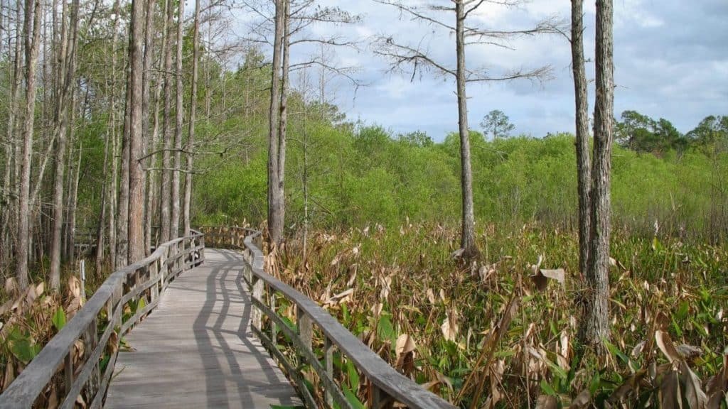 Everglades National Park