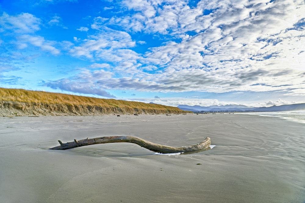 Gearhart Beach