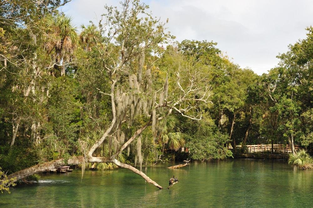 Homosassa State Park