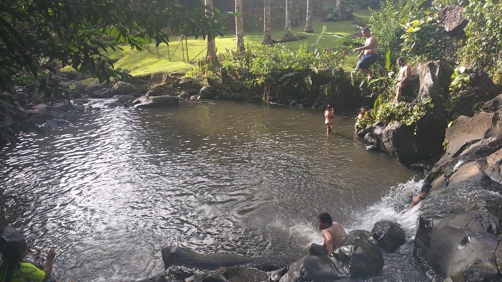 Jackass Ginger Pool Falls