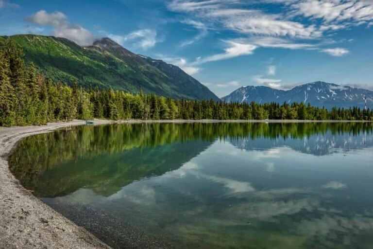 Kenai Peninsula National Forest