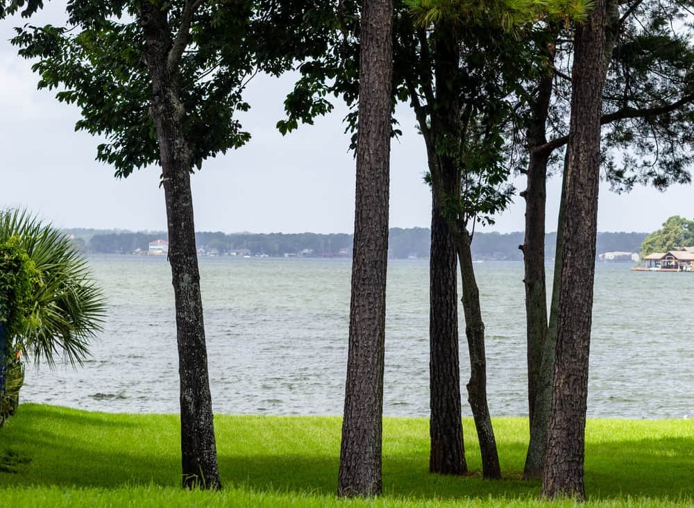 Lake Conroe