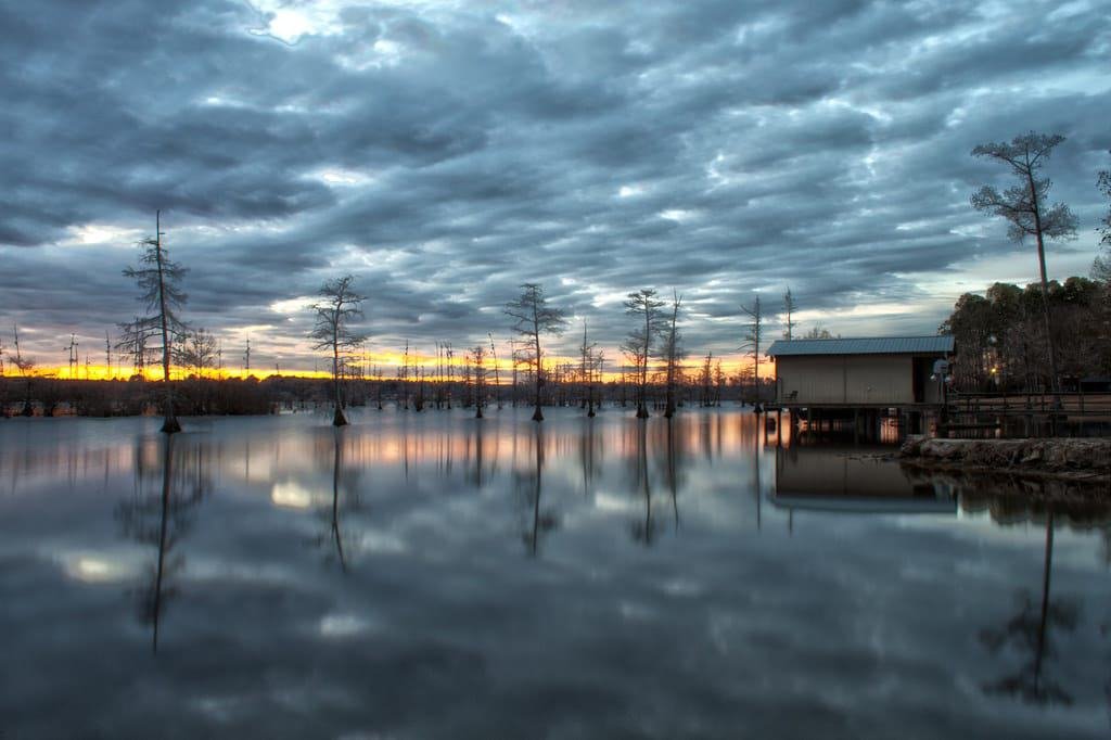 Lake D’Arbonne