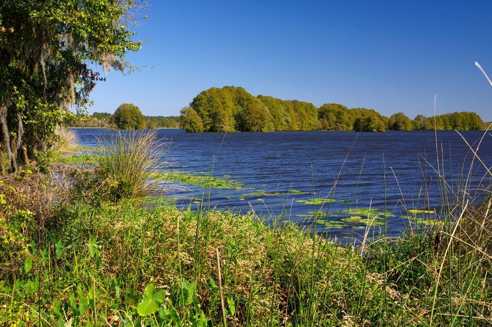 Lake Talquin