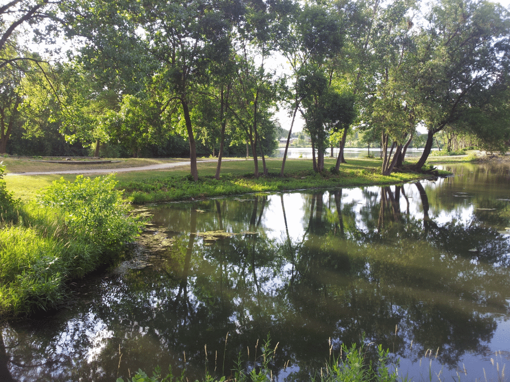 Mastodon Lake and Trail
