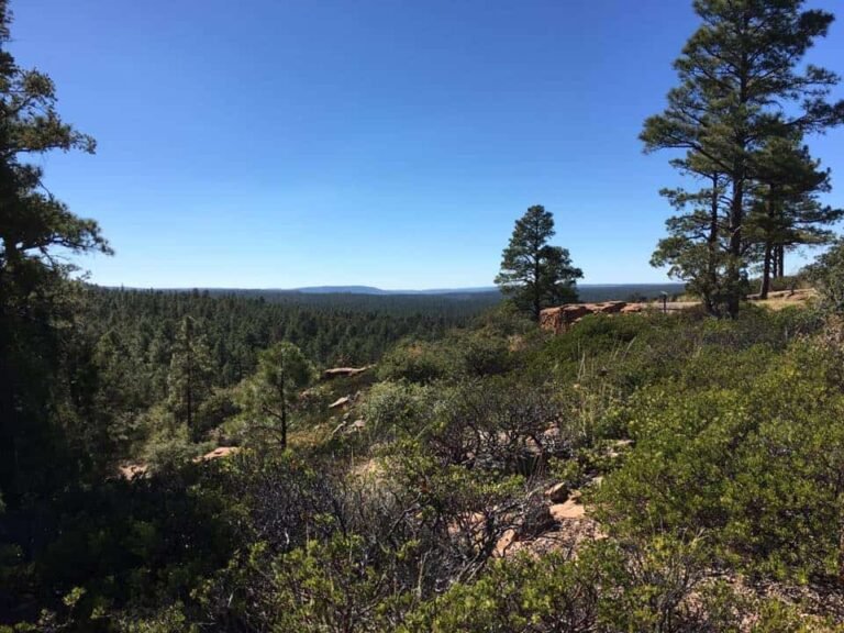 Mogollon Rim Interpretive Trail