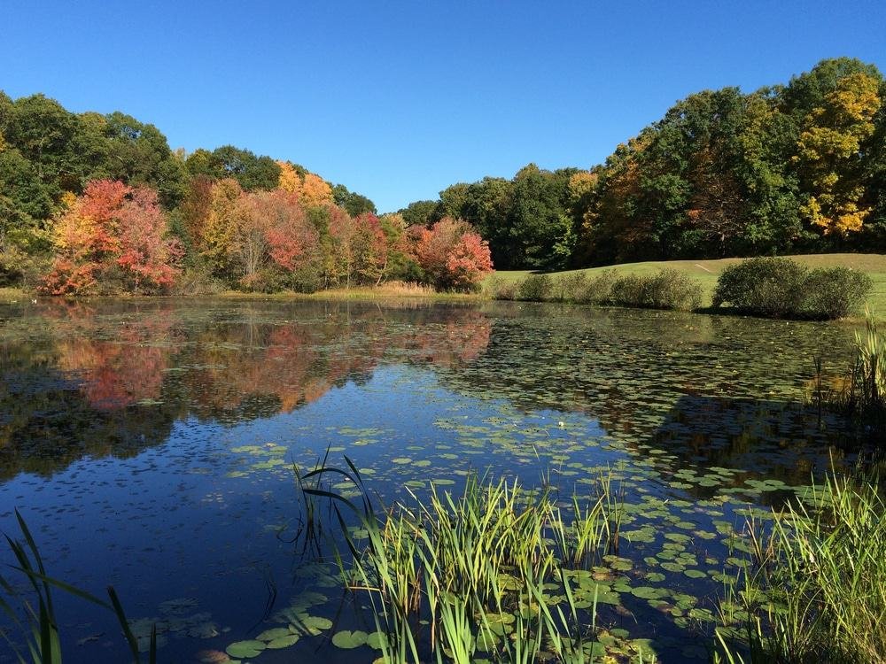Mohegan Park