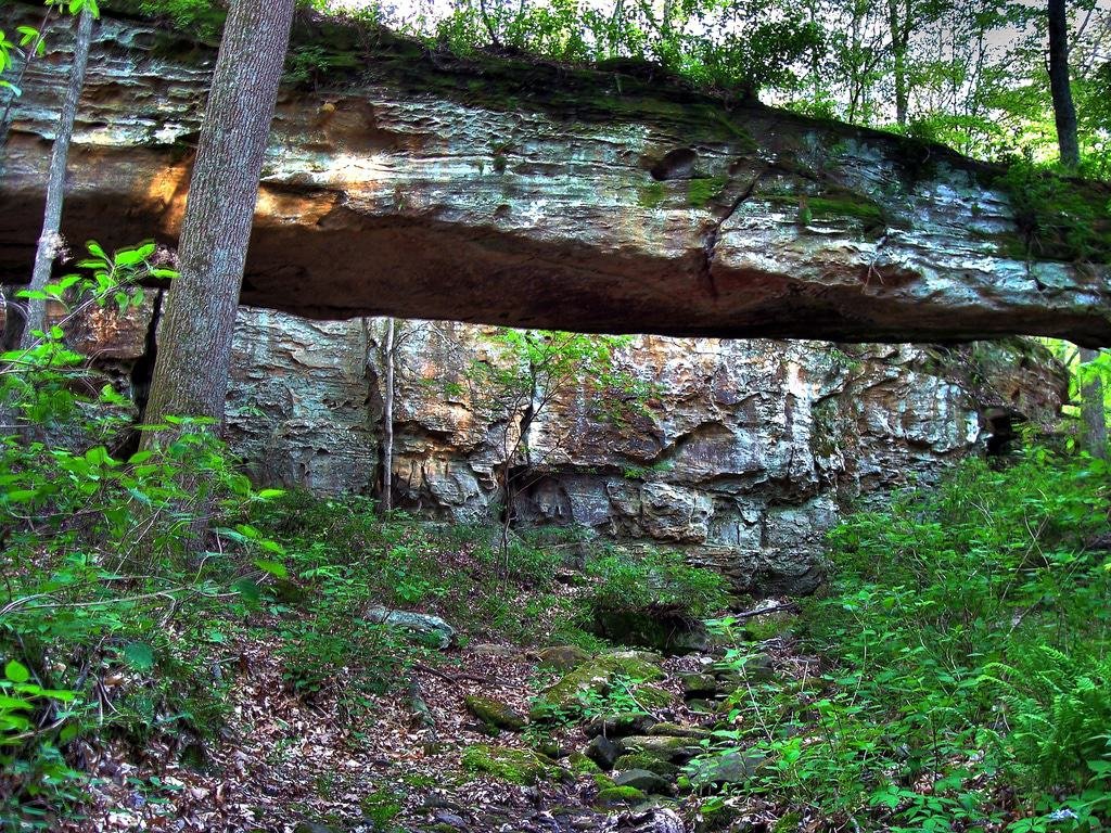 Pomona Natural Bridge