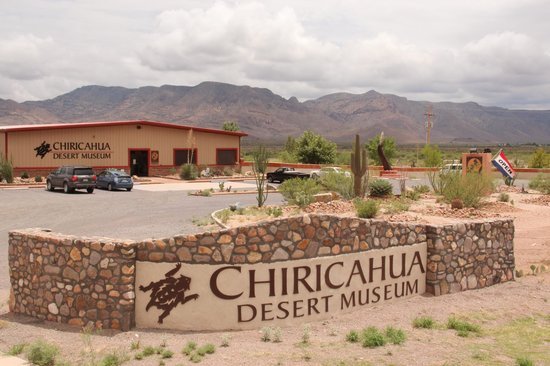 Chiricahua Desert Museum