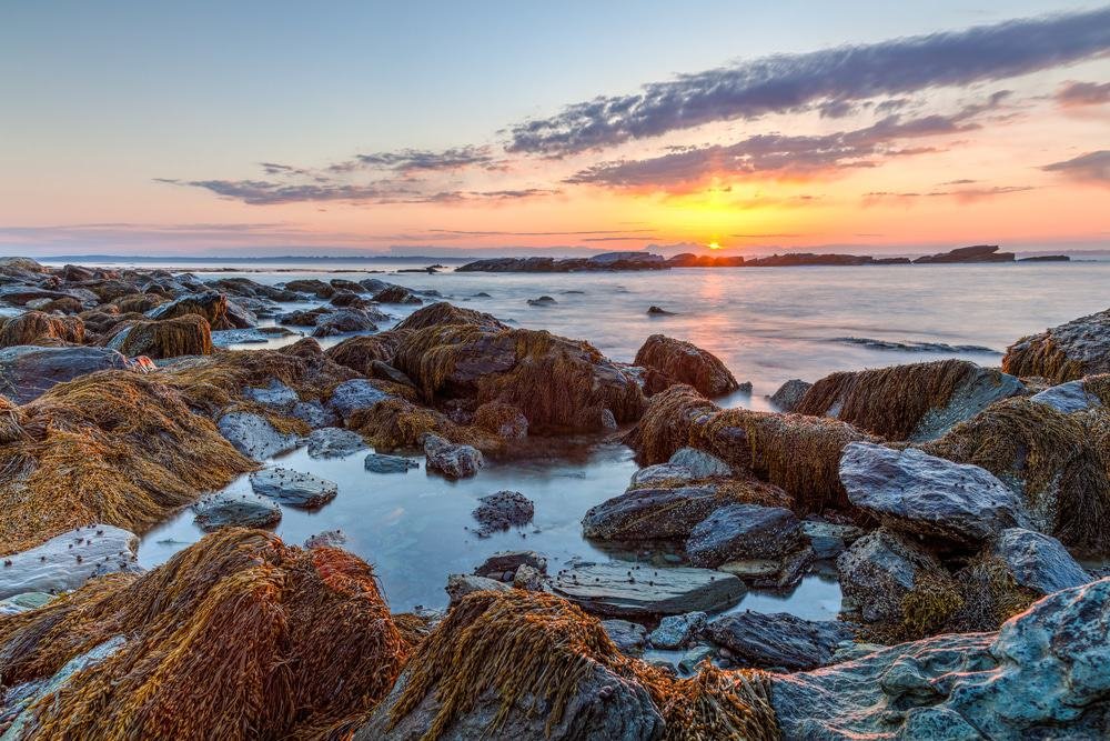 Sachuest Beach