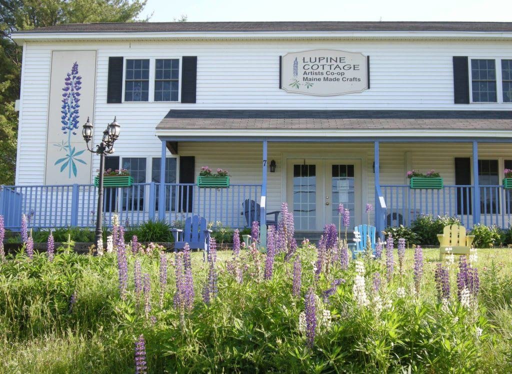 Lupine Cottage, Belfast, Maine