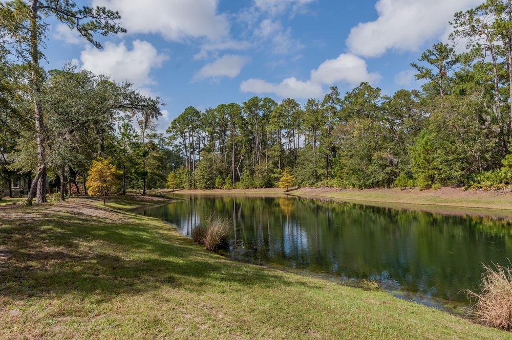 Skidaway Island