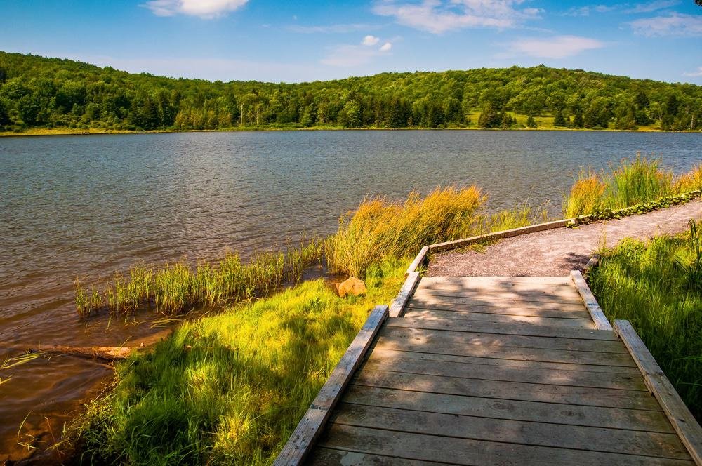 Spruce Knob Lake