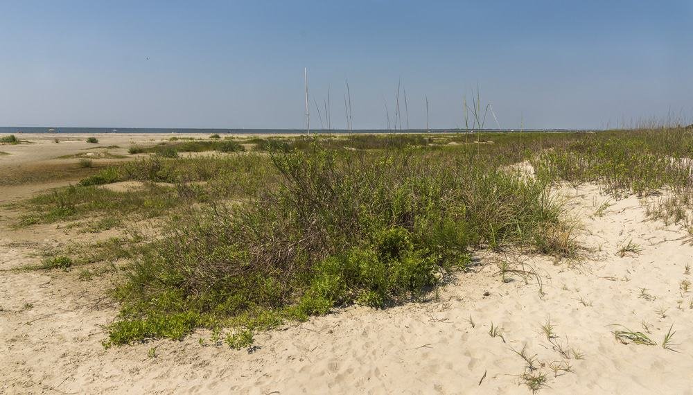 Sullivan's Island, South Carolina