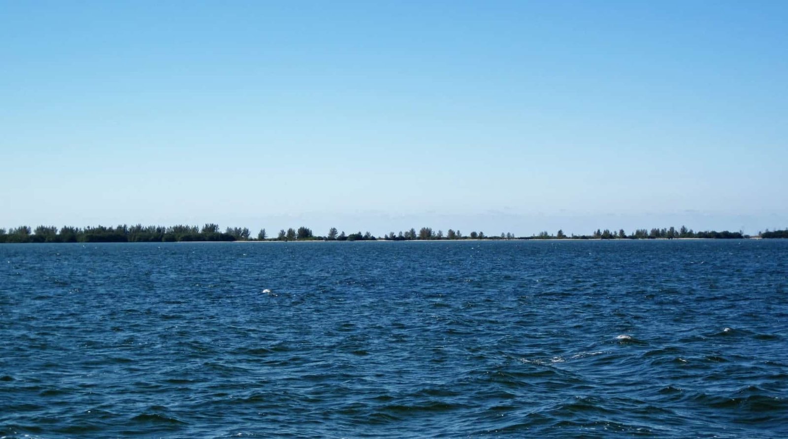 The Great Calusa Blueway