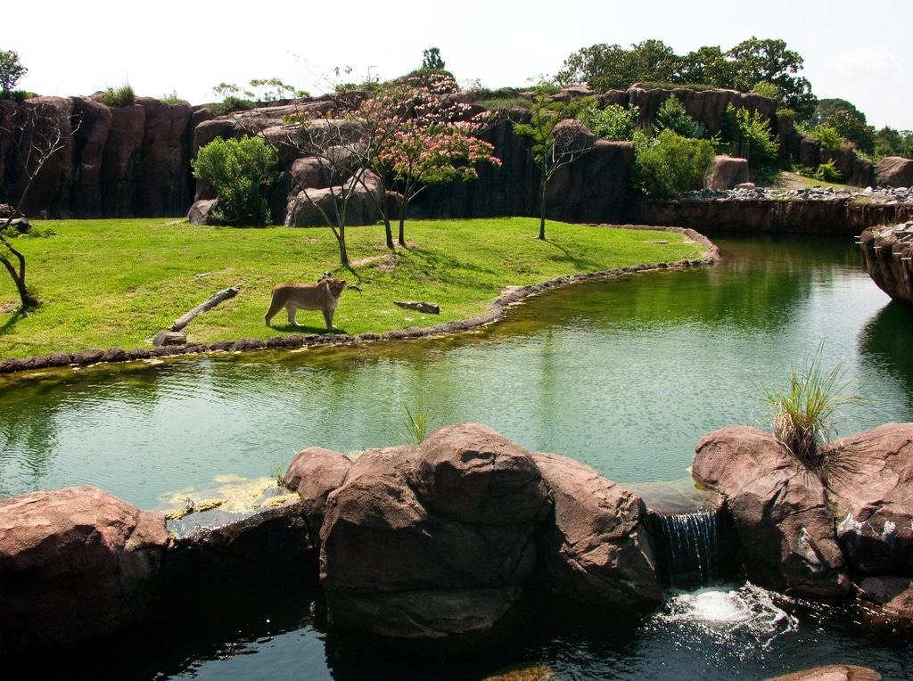 The Virginia Zoo