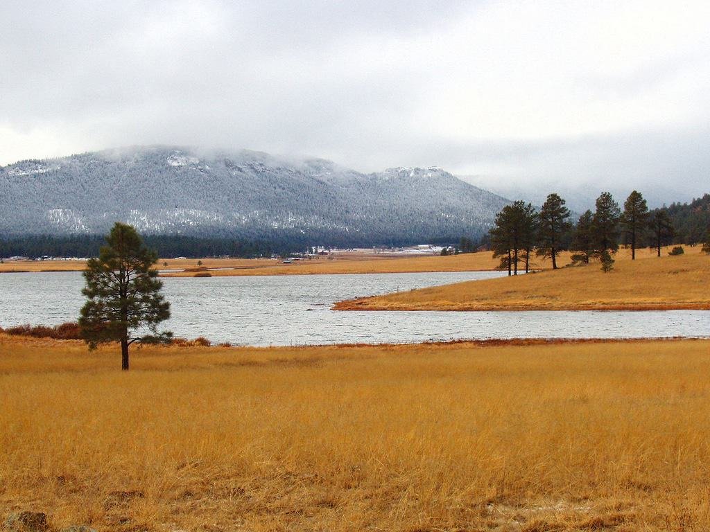 Luna Lake - Alpine, Arizona