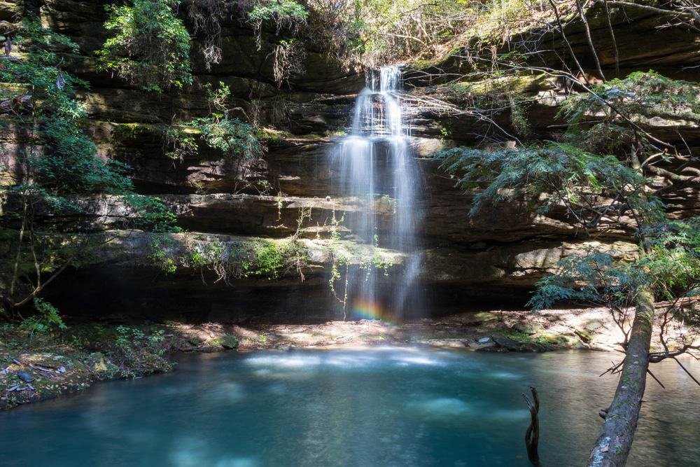 Bankhead National Forest, Alabama