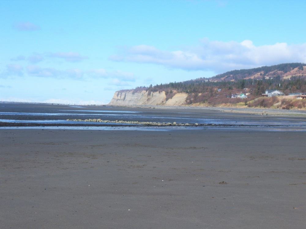 Bishop's Beach, Homer