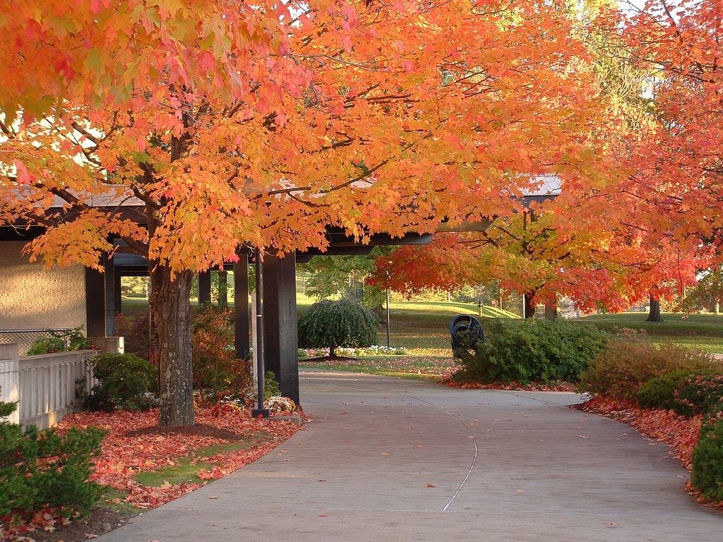 Morgantown, West Virginia