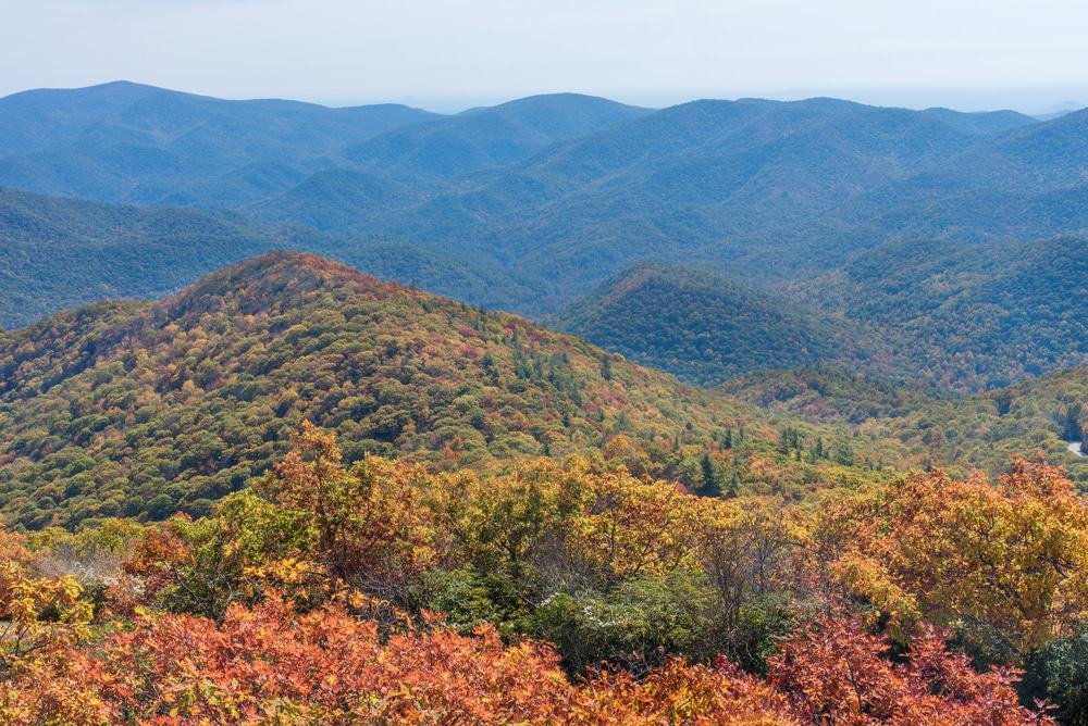 Chattahoochee-Oconee National Forest