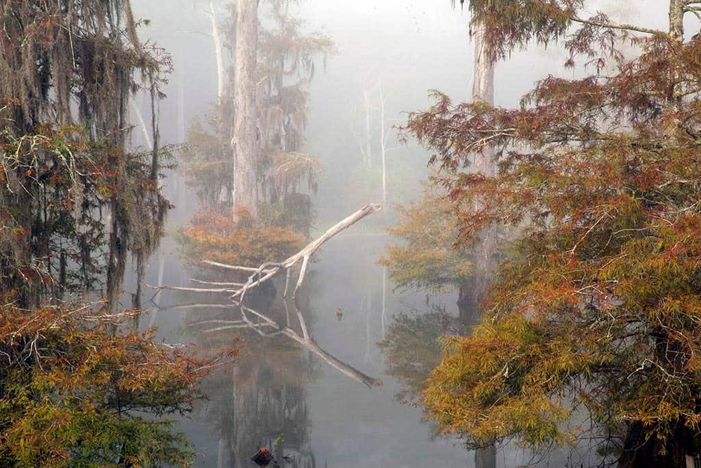 Claiborne West Park