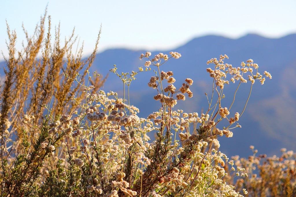 Deukmejian Wilderness Park