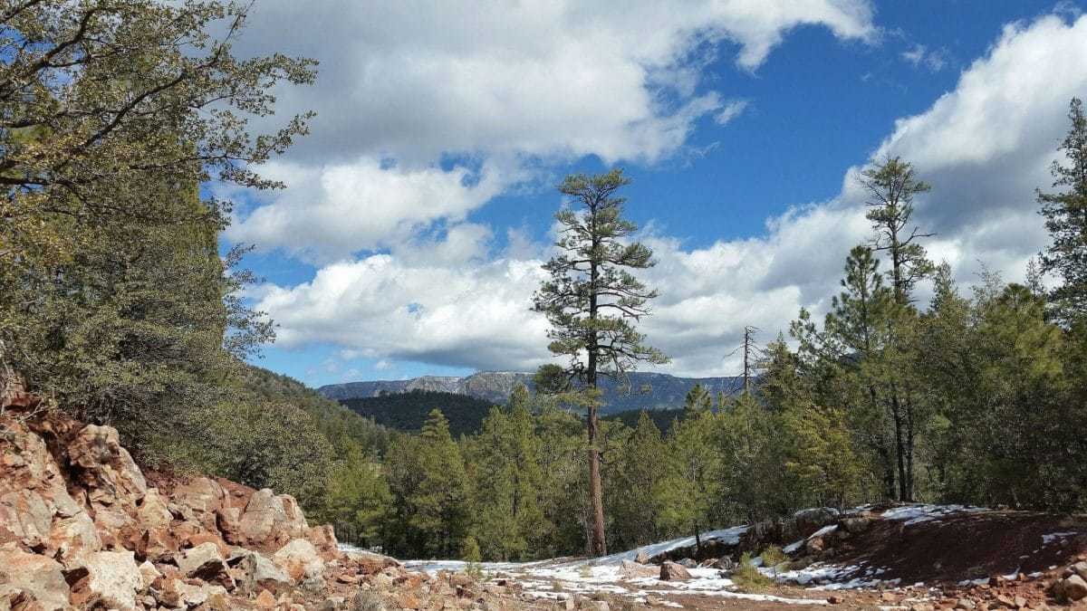 Paleo Site In Payson