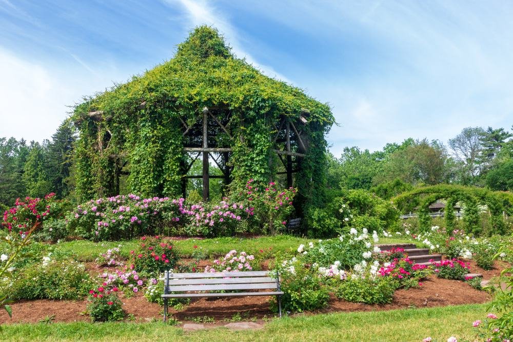 Elizabeth Park