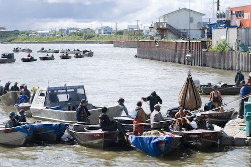 Fishing, Bethel