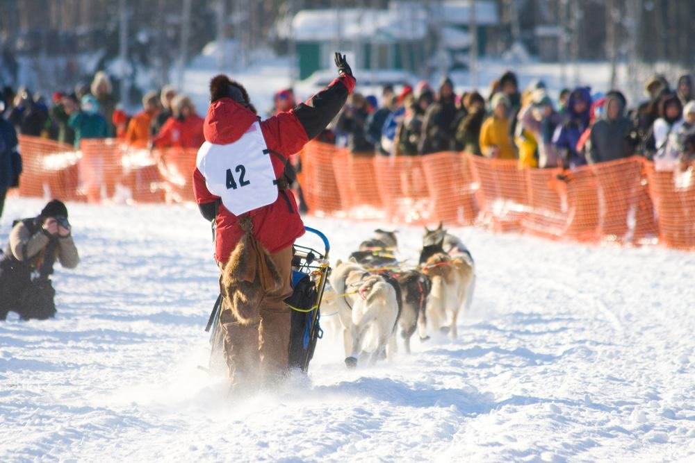 Iditarod Sled Dog Race