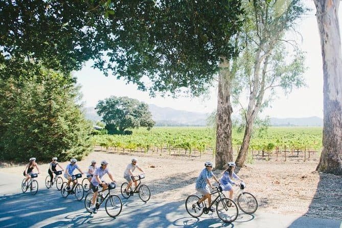 Full-Day Wine Country Bike Tour