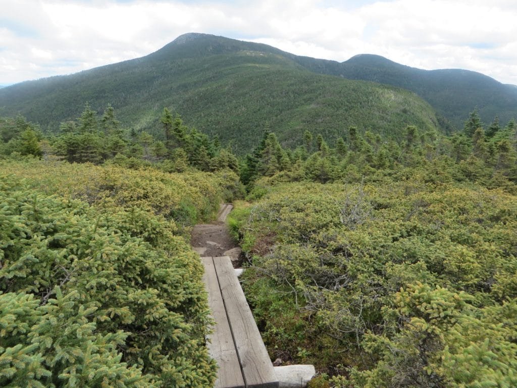 Goose Eye Mountain, Maine