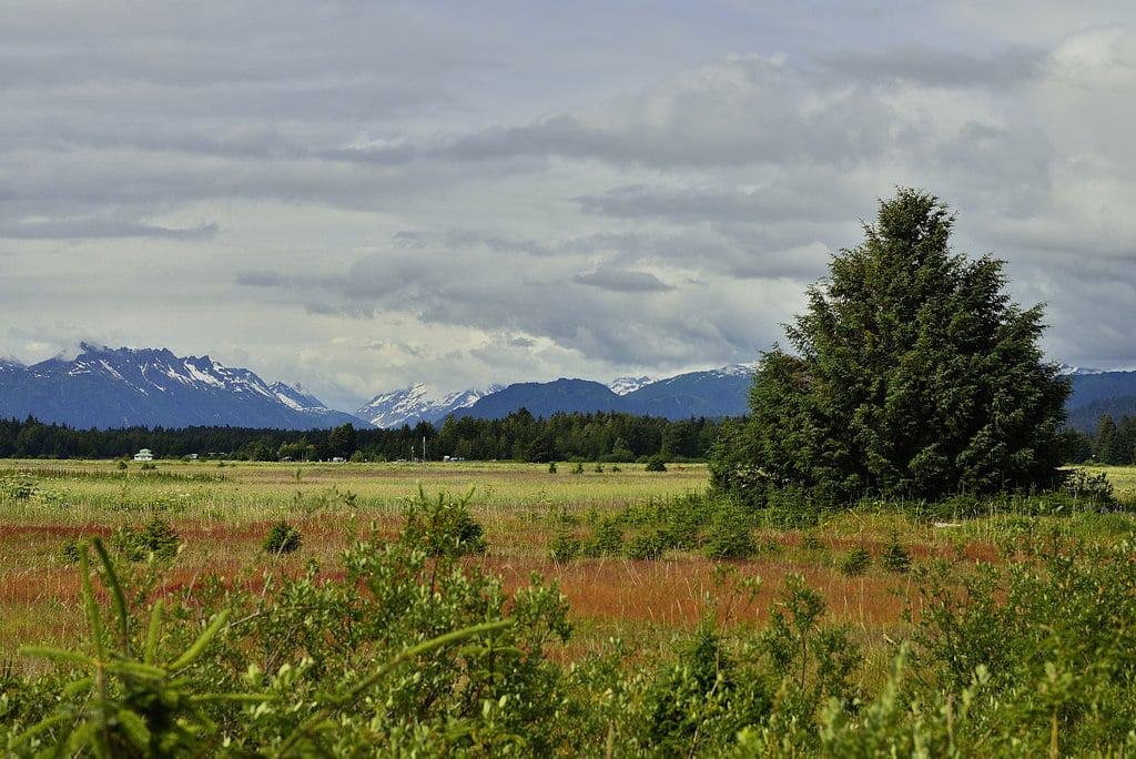 Gustavus, Alaska