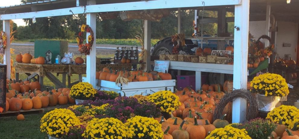 Hickory Ridge Farm