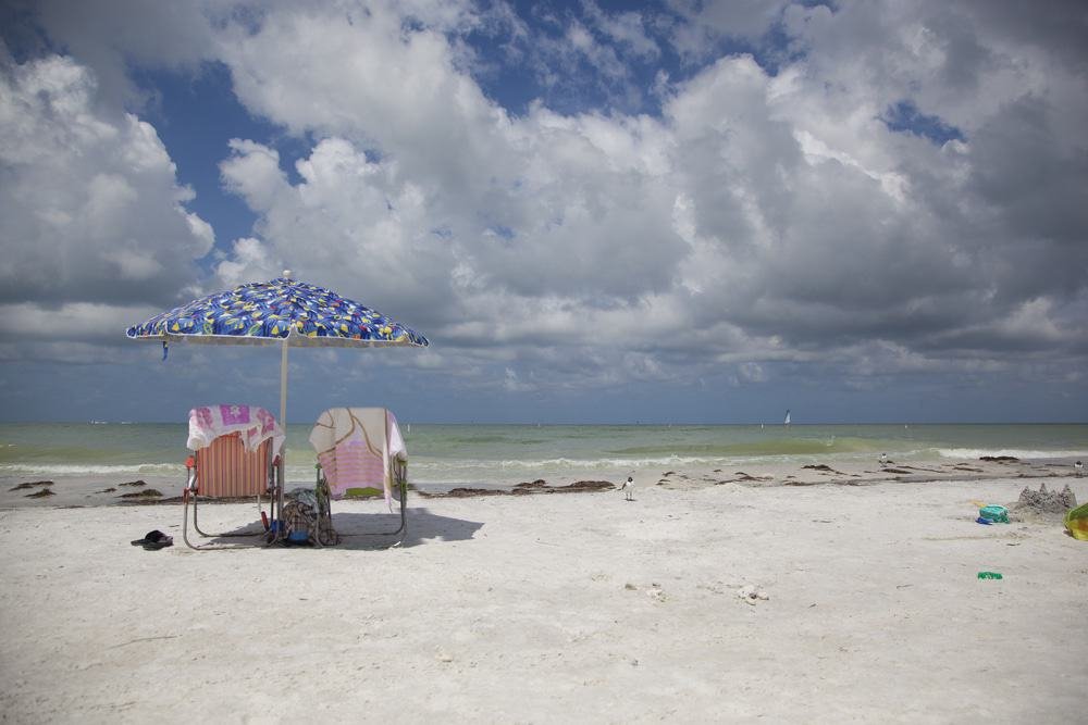 Honeymoon Island State Park, Dunedin