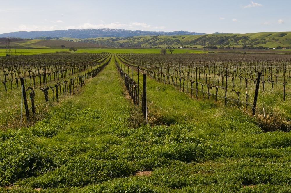 Livermore, California