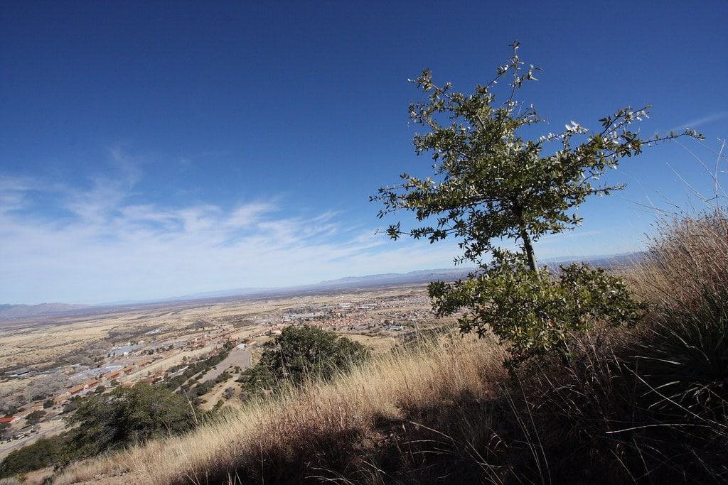 Reservoir Hill