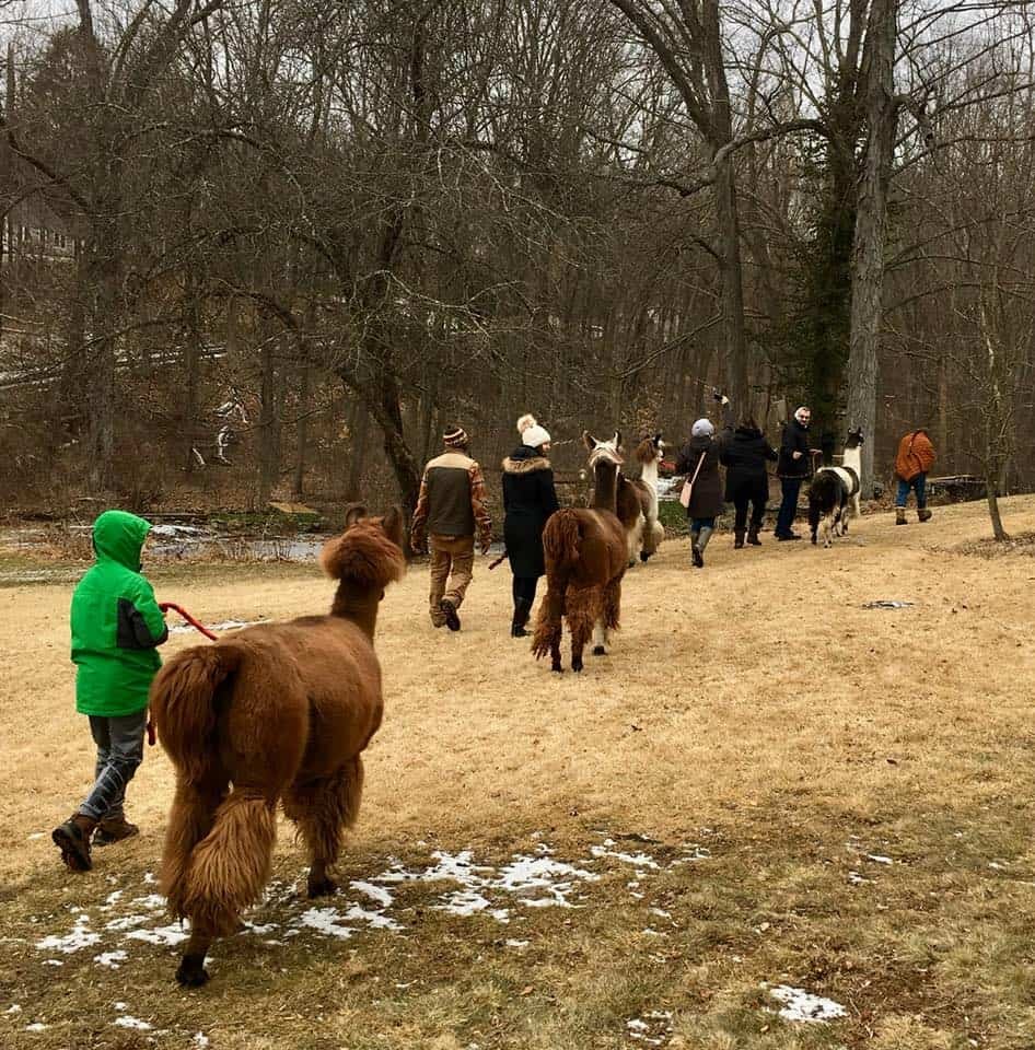 Rowanwood Farm