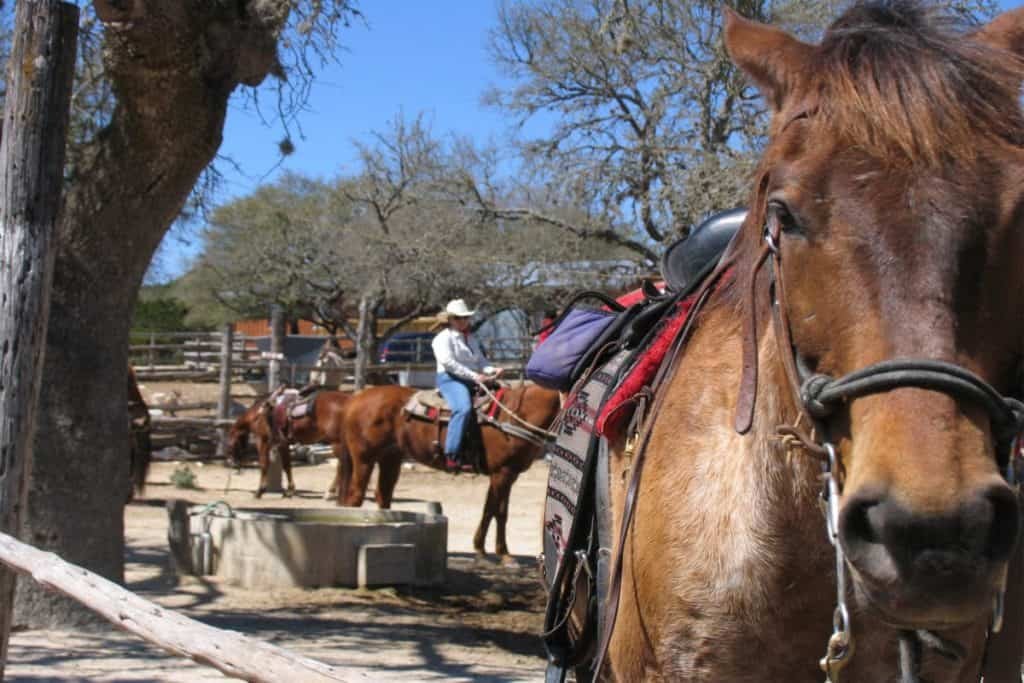 Silver Spur Guest Ranch