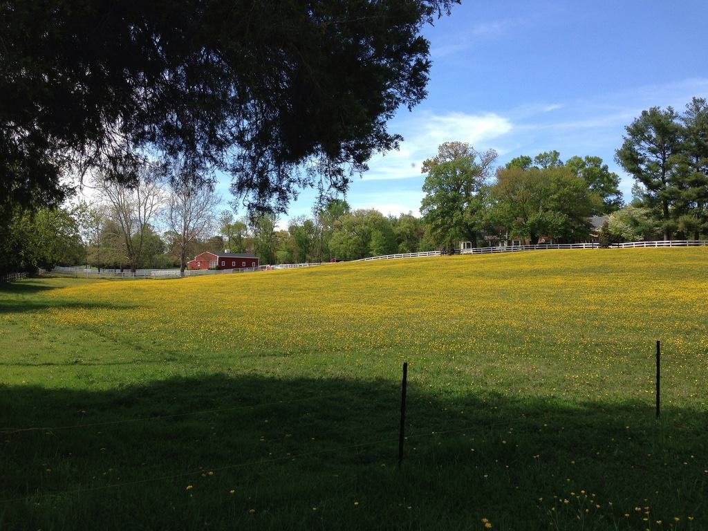 Travilah, Maryland