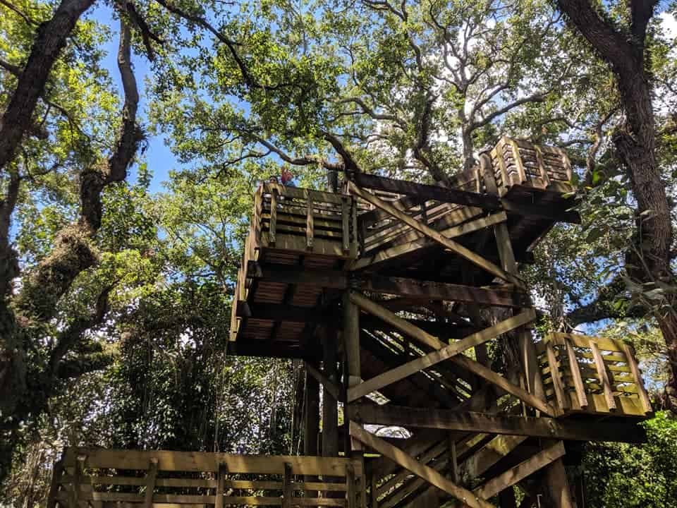 Tree Tops Park, Davie