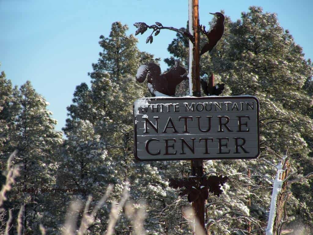 White Mountain Nature Center