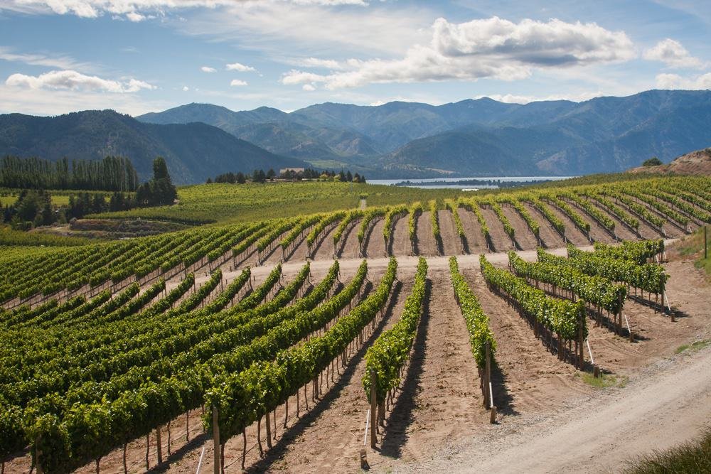 Woodinville Wine Country
