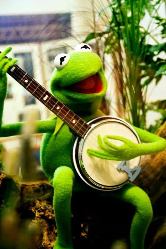 The Original Kermit The Frog